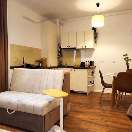 Garden City Studio Sibiu Exteriör bild